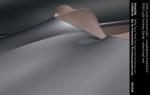 BMW GINA Light Visionary Model 2008 года